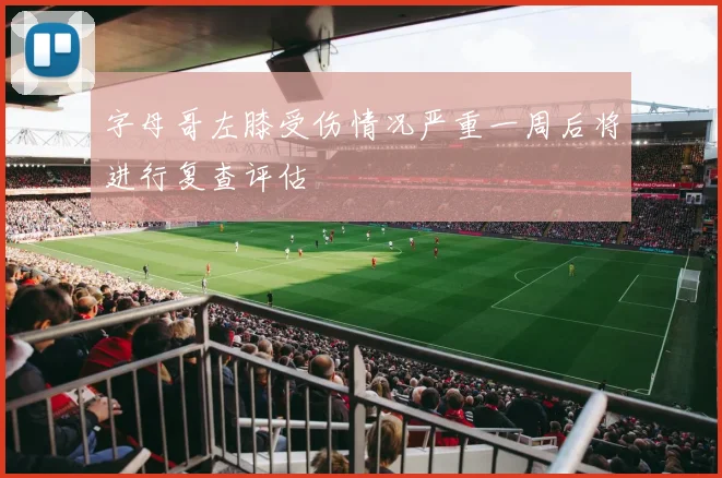 字母哥左膝受伤情况严重一周后将进行复查评估