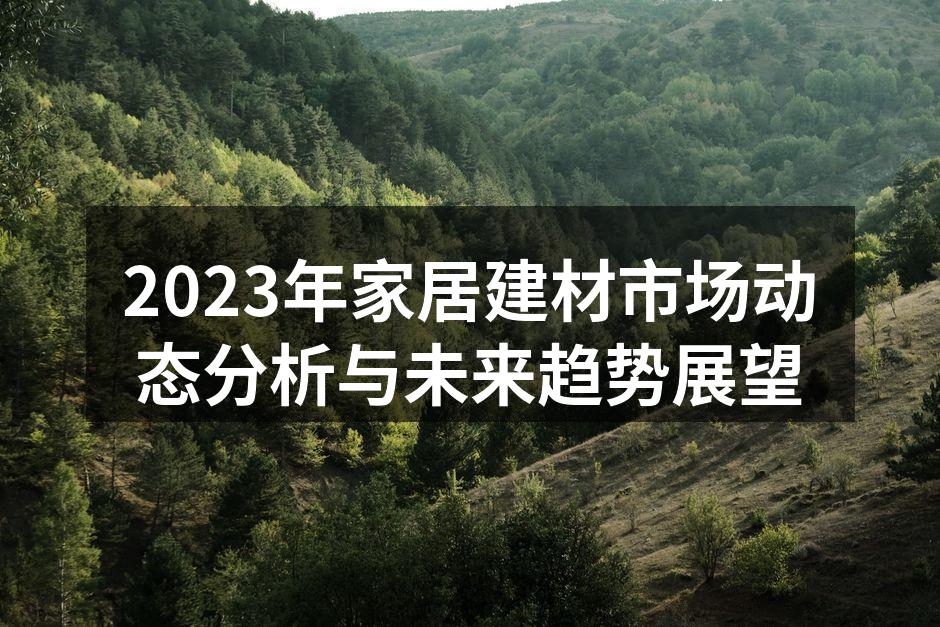 2023年家居建材市场动态分析与未来趋势展望